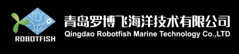 图片11